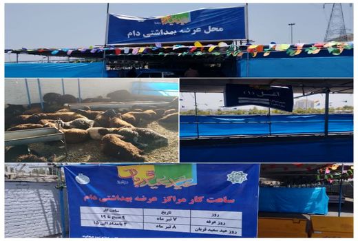 نحوه آماده‌سازی و جایگاه‌های ذبح دام در روزهای عرفه و عید سعید قربان