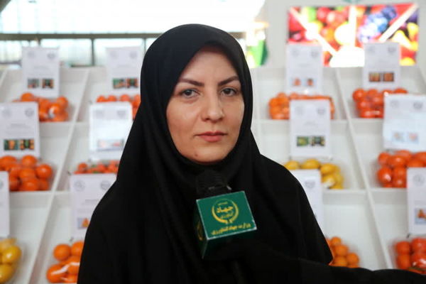 رشد 32 درصدی تولید میوه‌های گرمسیری در ایران طی سه سال