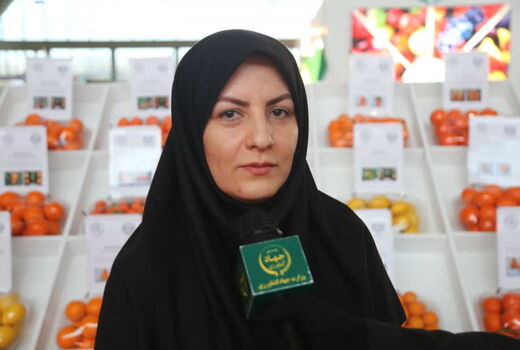 رشد 32 درصدی تولید میوه‌های گرمسیری در ایران طی سه سال