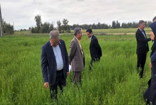  تمرکز بر بذر، مزارع الگویی و امنیت غذایی