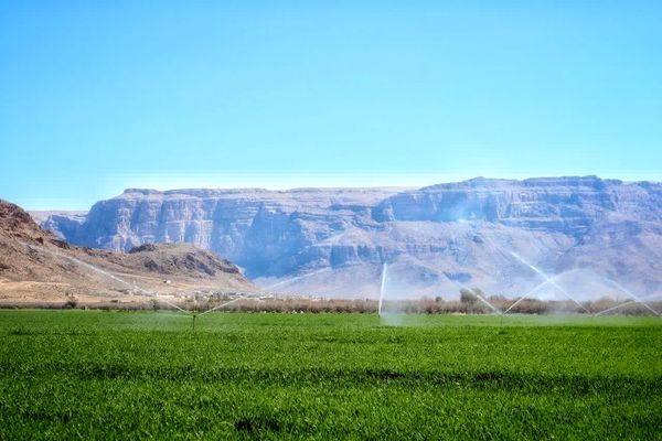 خودکفایی ۹۹ درصدی کشاورزی ایران در تجهیزات آبیاری نوین