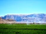 خودکفایی ۹۹ درصدی کشاورزی ایران در تجهیزات آبیاری نوین