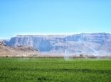 خودکفایی ۹۹ درصدی کشاورزی ایران در تجهیزات آبیاری نوین