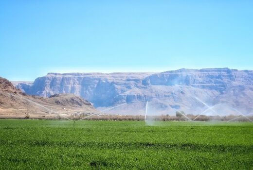 خودکفایی ۹۹ درصدی کشاورزی ایران در تجهیزات آبیاری نوین