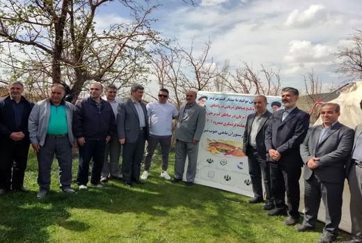 آغاز اولین مرحله طبخ و توزیع رایگان ماهی ( غذای سلامتی) از روستای عنصرود شهرستان اسکو