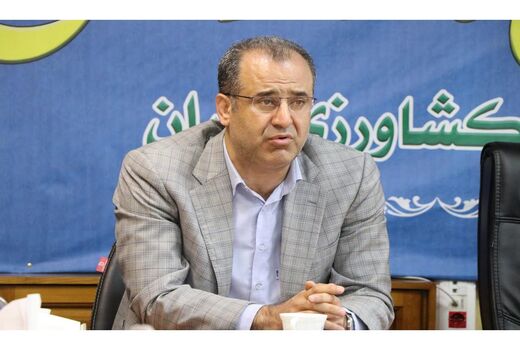 ارسال روزانه ۱۵۰ تن مرغ به تهران