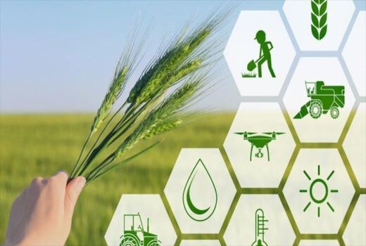دانش‌محوری راه‌حل چالش‌های کشاورزی است/ لزوم افزایش تعرفه خدمات کشاورزی و دامپزشکی