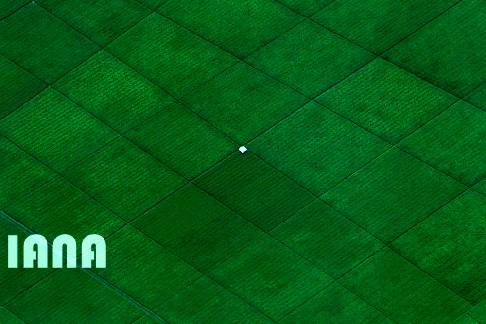 هندسه کشاورزی