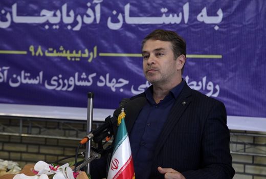 در بیش از ۳۲ هزار هکتار از مزارع آذربایجان غربی چغندر قند کشت می شود