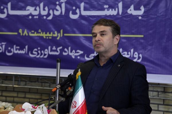 در بیش از ۳۲ هزار هکتار از مزارع آذربایجان غربی چغندر قند کشت می شود