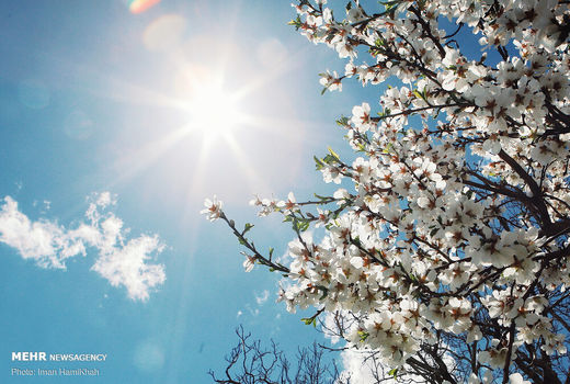 ‍ آب و هوای بهار استان همدان نرمال شد