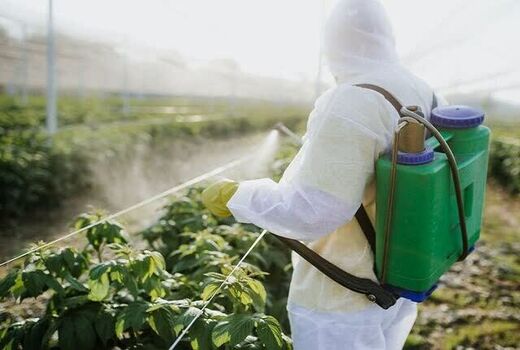 نیروهای میدانی محور اصلی مدیریت آفات کشاورزی 