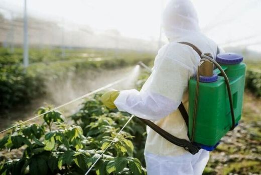 نیروهای میدانی محور اصلی مدیریت آفات کشاورزی 