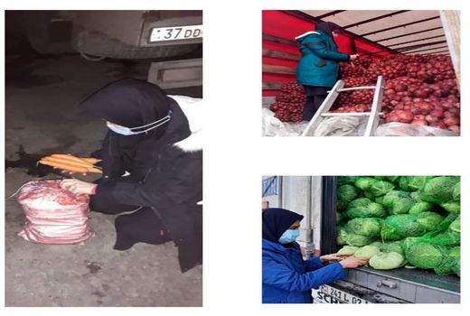 صادرات بیش از 9 هزارتن محصولات کشاورزی در دی ماه از مرزهای نوردوز و جلفا