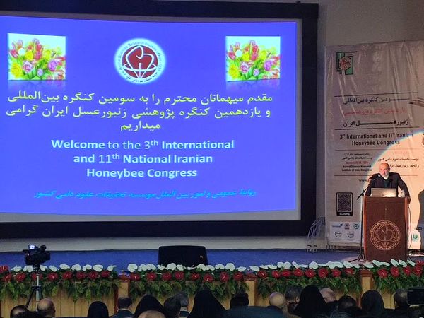 ایران جزو هشت کشور برتر دنیا در تنوع زیستی و رتبه سوم تولید عسل در جهان است