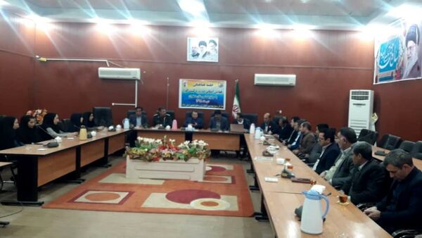 دهلران اسفندماه میزبان همایش استانی کشت کلزا می‌شود