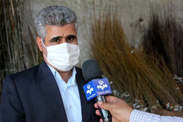  140 هزار اصله نهال رایگان در اختیار کشاورزان قرار می‌گیرد