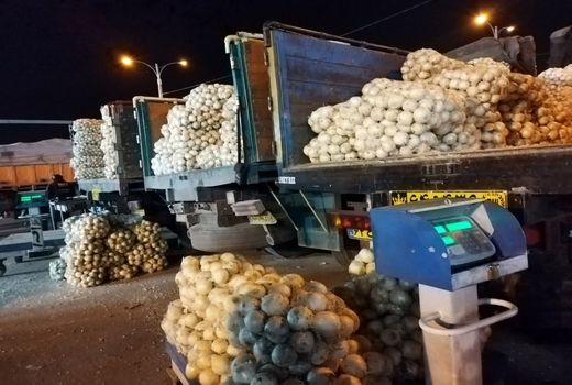 با افزایش عرضه، قیمت پیاز در شیراز کاهشی شد