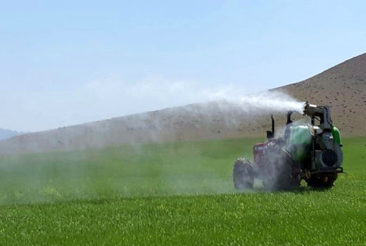 مبارزه با آفت سن غلات در بیش از ۳۳ هزار هکتار از اراضی کشاورزی قزوین انجام شد