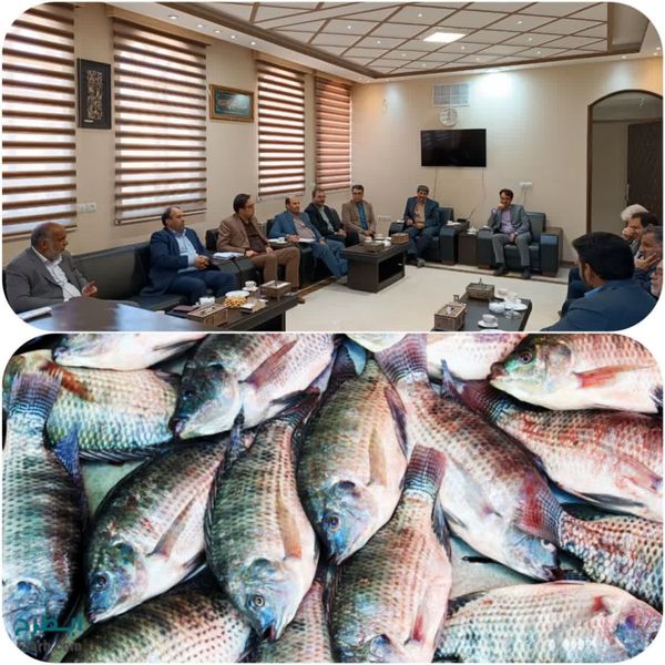 ایجاد شهرک پایلوت کشوری پرورش ماهی تیلاپیا در یزد