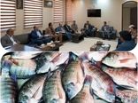 ایجاد شهرک پایلوت کشوری پرورش ماهی تیلاپیا در یزد