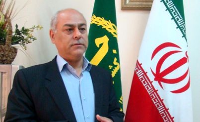 تداوم خرید و ذخیره سازی گوشت مرغ برای تنظیم بازار