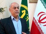 تداوم خرید و ذخیره سازی گوشت مرغ برای تنظیم بازار