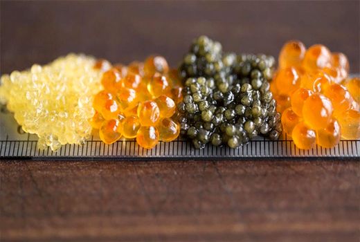 فعالیت 97 مزرعه پرورشی خاویار در گیلان