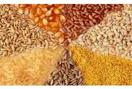 توزیع 1600 تنی نهاده‌های دامی یارانه‌دار در سوادکوه‌شمالی