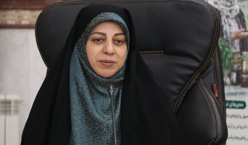 بازاریابی دیجیتال؛ مسیر توسعه بازار و توانمندسازی اقتصادی بانوان روستایی و عشایری قزوین