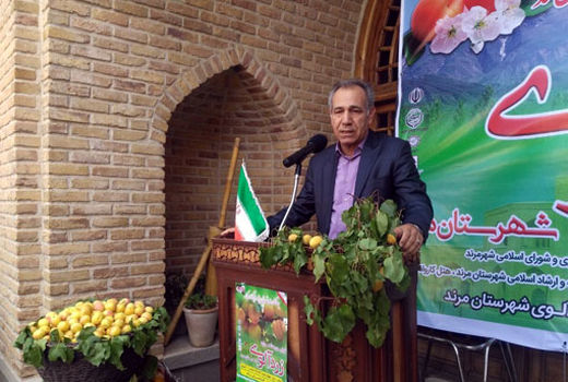 آذربایجان شرقی رتبه اول تولید  زردآلو در کشور 