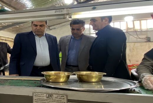تقویت زنجیره ارزش کشاورزی با محوریت صنایع تبدیلی در کهگیلویه و بویراحمد
