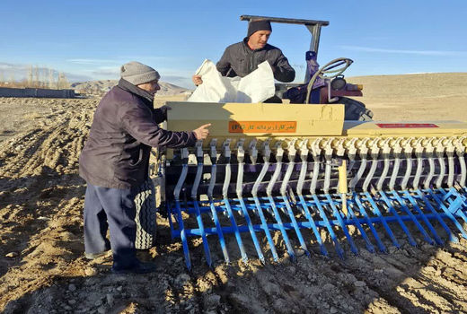 کشت مکانیزه گیاهان دارویی در طرح جهش تولید در دیمزارهای بستان آباد