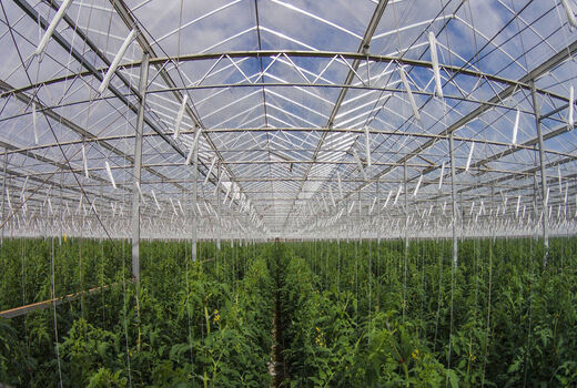 41 درصد انرژی مصرفی در کشاورزی به وسیله برق