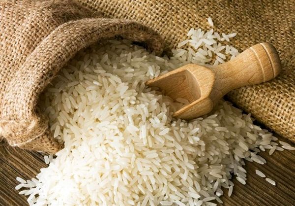میانگین قیمت برنج بالاتر از نرخهای مصوب