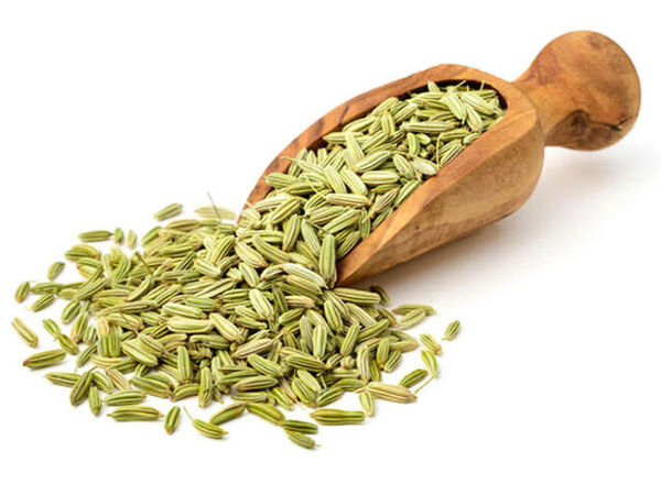 توسعه گیاه دارویی زیره سبز در استان بوشهر
