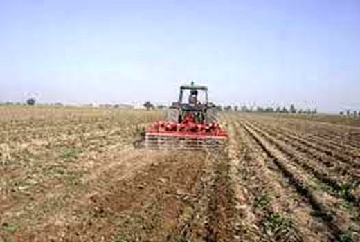 جلوگیری از نابودی بقایای گیاهی با خاک ورزی حفاظتی