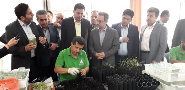 بازدید استاندار تهران از بزرگ‌ترین شرکت زیست‌فناوری گیاهی ایران در ملارد
