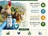 فاز پانزدهم واکسیناسیون رایگان طیور بومی استان قزوین علیه بیماری نیوکاسل