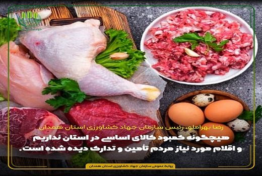 توزیع 360 تن مرغ منجمد در همدان طی فروردین ماه