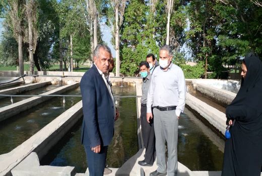 امنیت غذایی و خود اتکایی محصولات شیلاتی رقم خورد