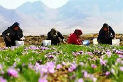 فعالیت ۲۴ صندوق خرد اعتبارات زنان روستایی در شهرستان کوهرنگ
