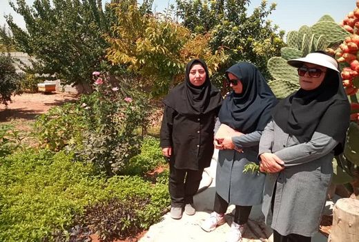 ایجاد 5 باغچه سلامت توسط بانوان شهرستان بیضا