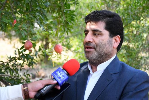 شهرستان جلفا رتبه اول استان آذربایجان شرقی در زمینه کشت و تولید انار و انجیر