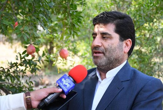 شهرستان جلفا رتبه اول استان آذربایجان شرقی در زمینه کشت و تولید انار و انجیر