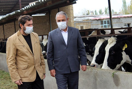  تولید سالانه 36 هزار تن شیر در شهرستان مرند