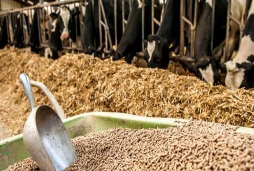 دهمین نمایشگاه بین‌المللی خوراک دام، طیور و آبزیان ایران برگزار می‌شود