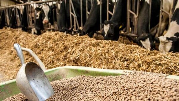 دهمین نمایشگاه بین‌المللی خوراک دام، طیور و آبزیان ایران برگزار می‌شود