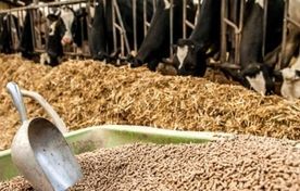 دهمین نمایشگاه بین‌المللی خوراک دام، طیور و آبزیان ایران برگزار می‌شود