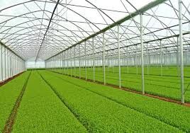 اختصاص ۳۵ میلیارد ریال برای تکمیل زنجیره کشاورزی خراسان شمالی 